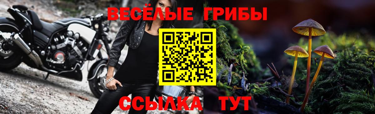 Галлюциногенные грибы Magic Shrooms  Вход с VPN  Псилоцибиновые грибы MAGIC MUSHROOMS  Вичуга 